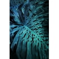thumbnail image 2 of Villa, Milli 13x18 White Modern Wood Framed Museum Art Print Titled - Teal Night Foliage, 2 of 4