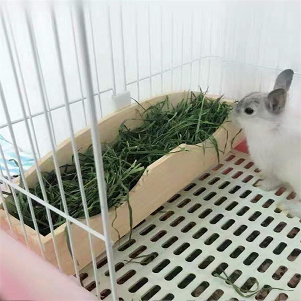 rabbit feeder walmart