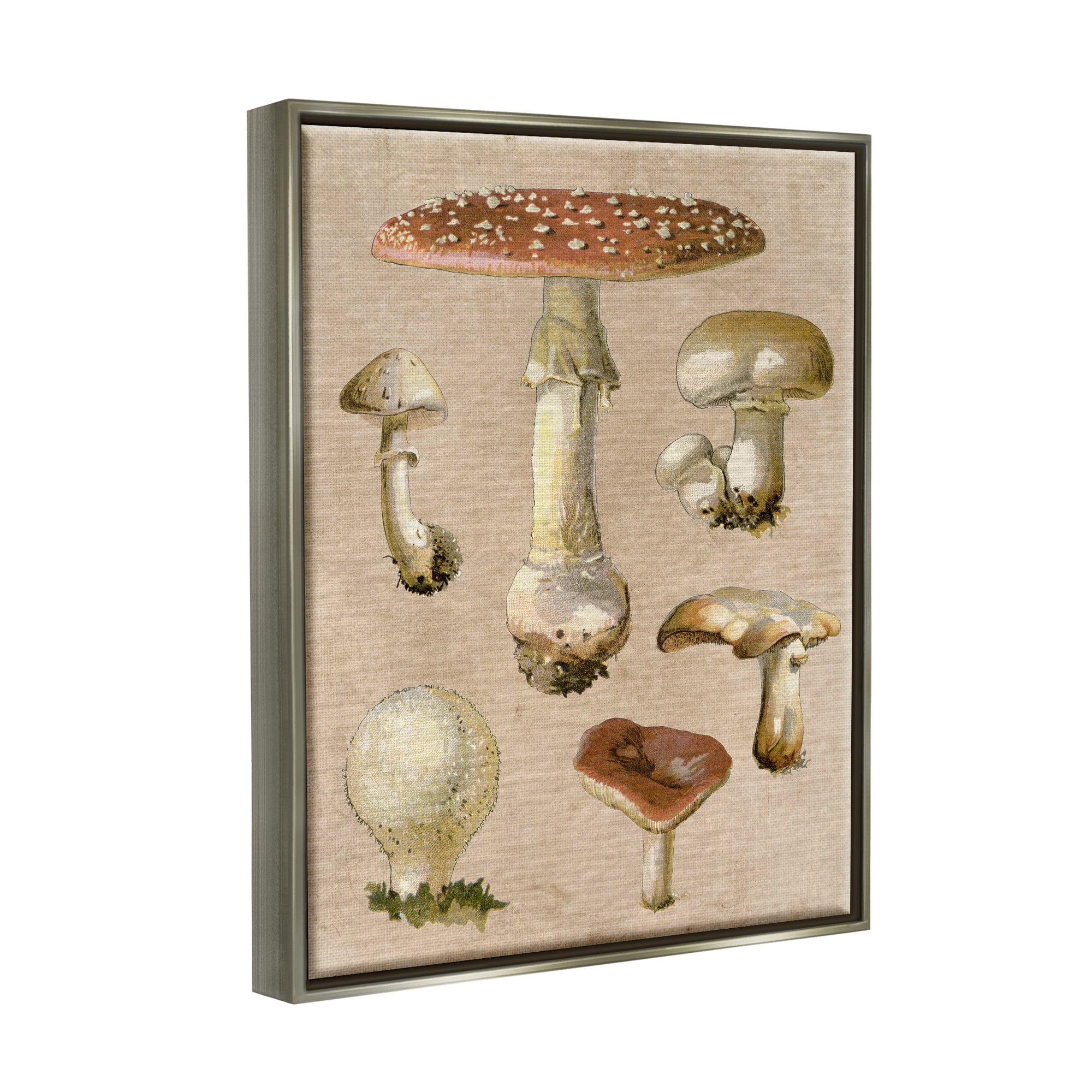 Stupell Industries Vintage Neutral Mushrooms Botanical & Floral Painting Gray Floater Framed Canvas Art Print Wall Art, 17 x 21