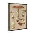 thumbnail image 4 of Stupell Industries Vintage Neutral Mushrooms Botanical & Floral Painting Gray Floater Framed Canvas Art Print Wall Art, 25 x 31, 4 of 10