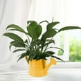 thumbnail image 5 of oshhnii Watering Can Decorative Sprinkling Can for Outdoor Plants Vase Indoor Plants Yellow, 5 of 8