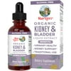 MaryRuth Organics | Kidney & Bladder Herbal Supplement | Kidney Cleanse & Bladder Control Juniper Berry | 1 fl oz / 30 ml | Clean Label Project Verified