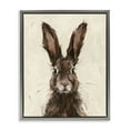 thumbnail image 5 of Stupell Industries Brown European Rabbit Hare Portrait Painting Luster Gray Framed Floating Canvas Wall Art, 16x20, by Ethan Harper, 5 of 5