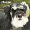 Schnauzer Calendar 2018 (Euro) - Dog Breed Calendar - Wall Calendar 2017-2018