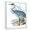 thumbnail image 3 of Designart 'Ancient Australian Birds V' Traditional Framed Canvas Wall Art Print, 3 of 5