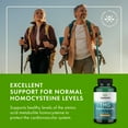 thumbnail image 5 of Swanson Tmg Trimethylglycine 500 mg 90 Capsules, 5 of 8