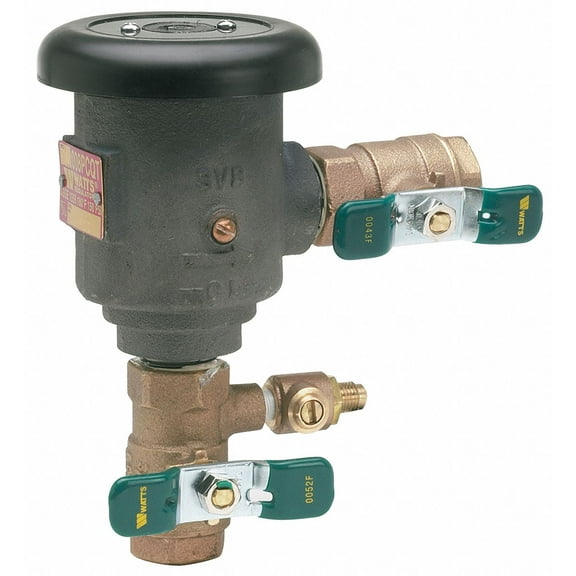 Watts Anti-Siphon Backflow Preventer,Watts 008 3/4 LF 008PCQT-3/4