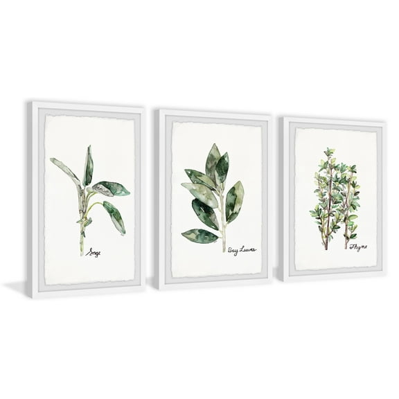 Herb Trio Triptych