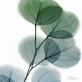thumbnail image 2 of Koetsier, Albert 26x26 Gold Ornate Wood Framed with Double Matting Museum Art Print Titled - Dull Eucalyptus, 2 of 4