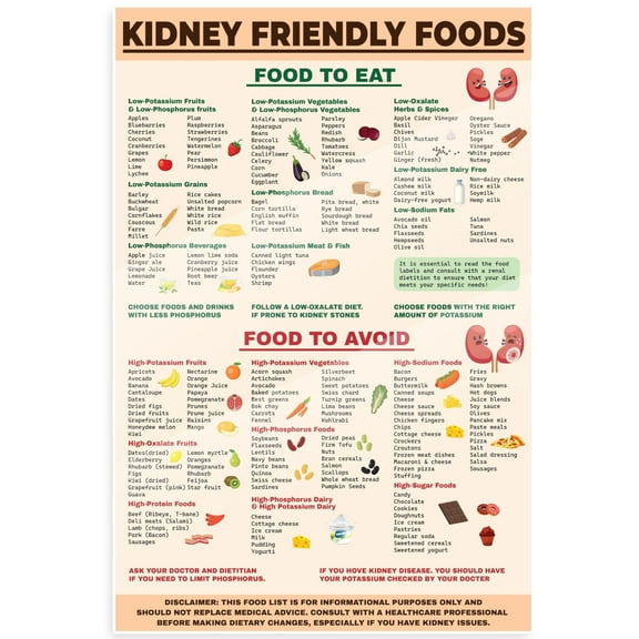 Kidney Friendly Foods Poster - Renal Diet Foods Chart - Nutrition Guide Poster