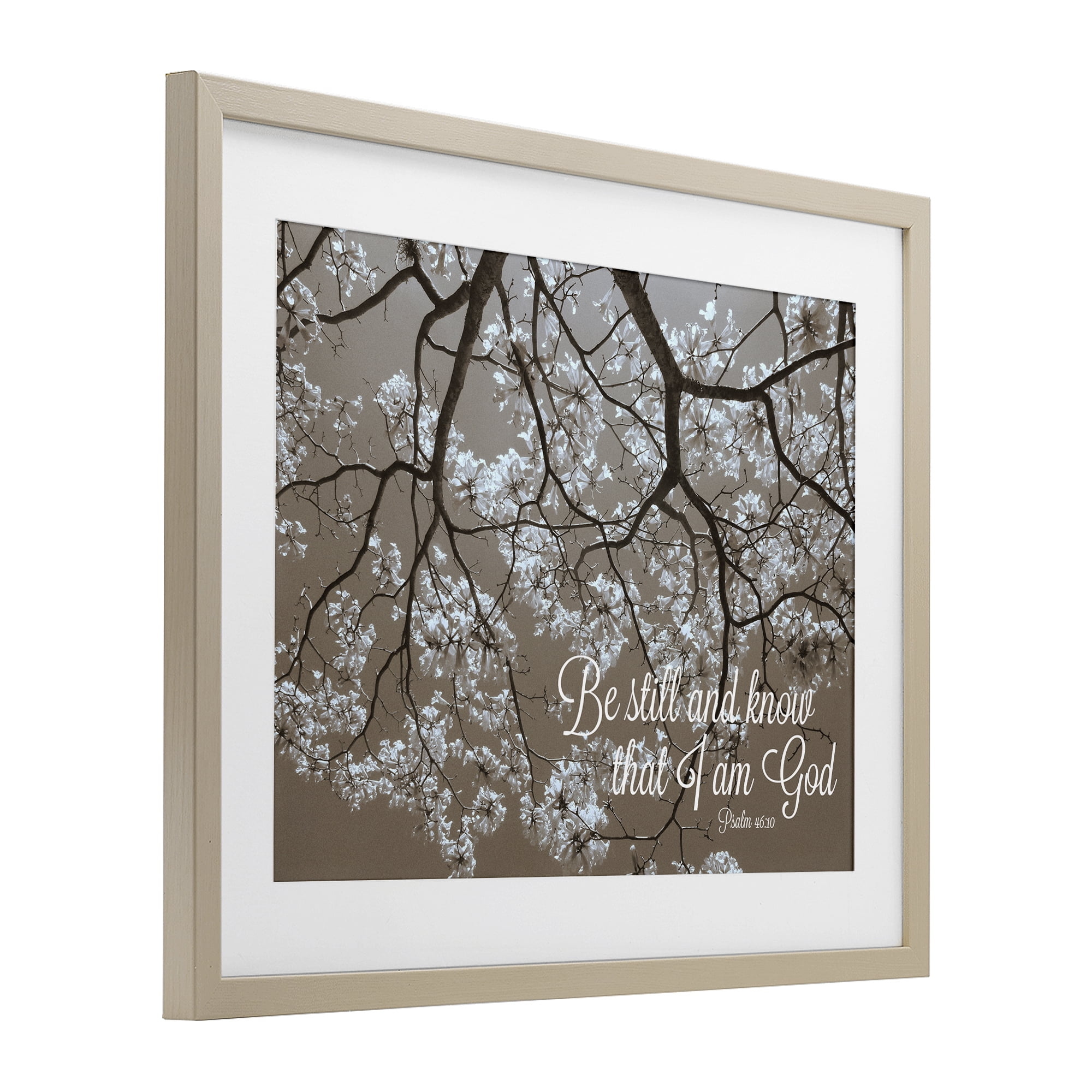 Stupell Industries Be Still Apple Blossoms Birch Framed Print Under Glass, design by Gail Peck