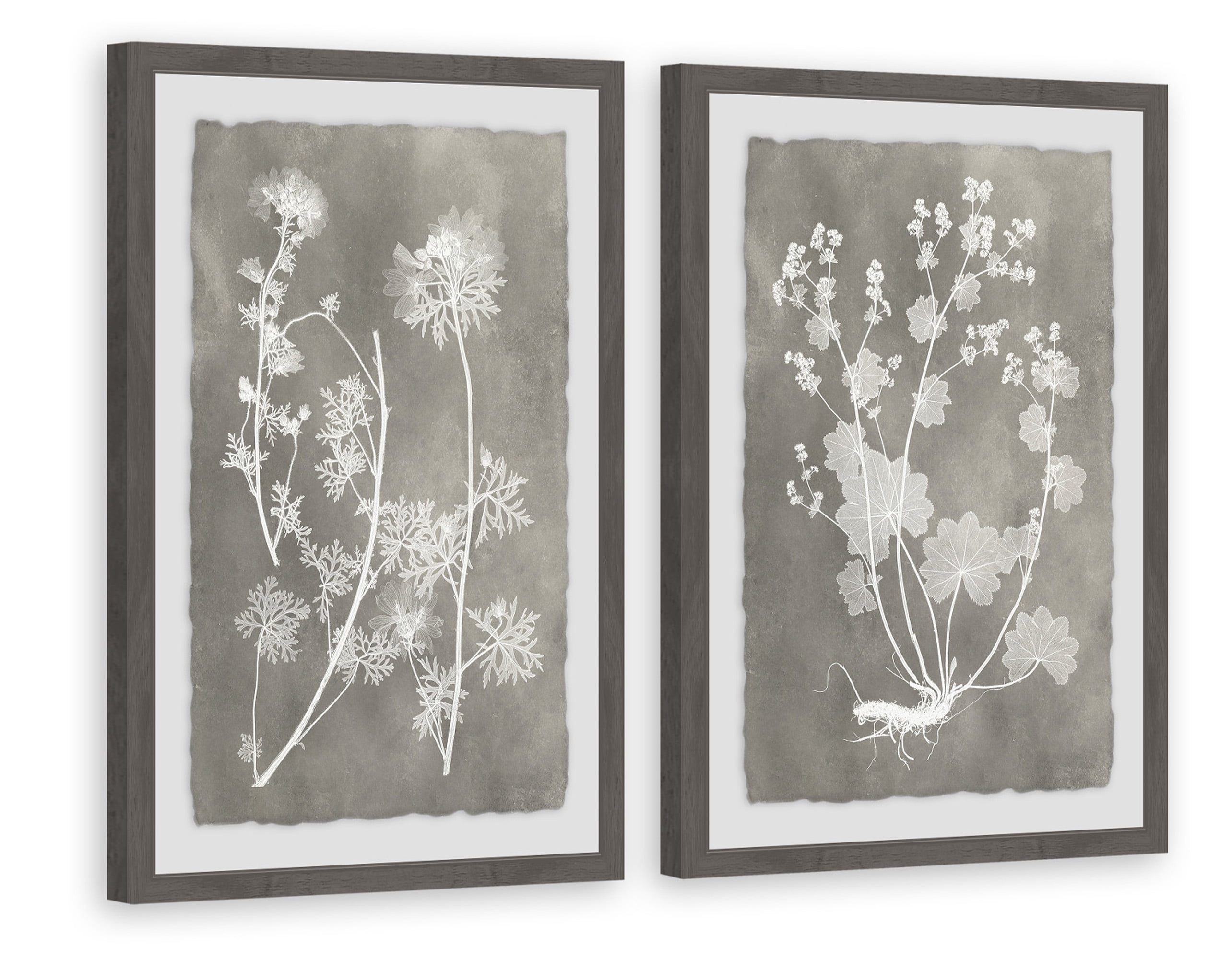 Marmont Hill Herbarium Study Diptych, 36" x 48”