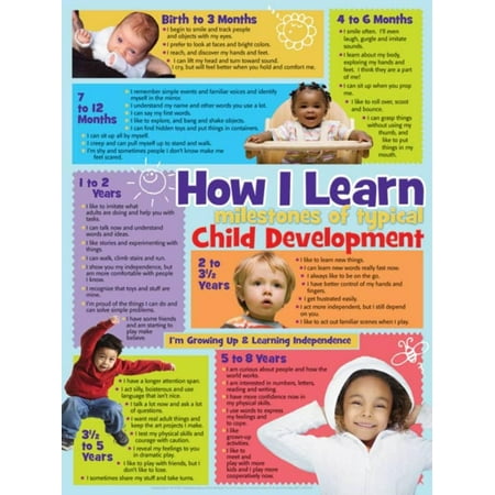 Learning Zone Poster - How I Learn Poster Laminated Poster - 18x24