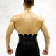 thumbnail image 3 of Cinturón de soporte de cintura Elástico transpirable Lumbar Brace Soporte de cintura Corsé Cinturón trasero (Negro) (XL) FLhrweasw Nuevo, 3 of 8