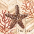 thumbnail image 2 of Tre Sorelle Studios 20x20 White Modern Wood Framed Museum Art Print Titled - Chevron Shells Coral III, 2 of 4