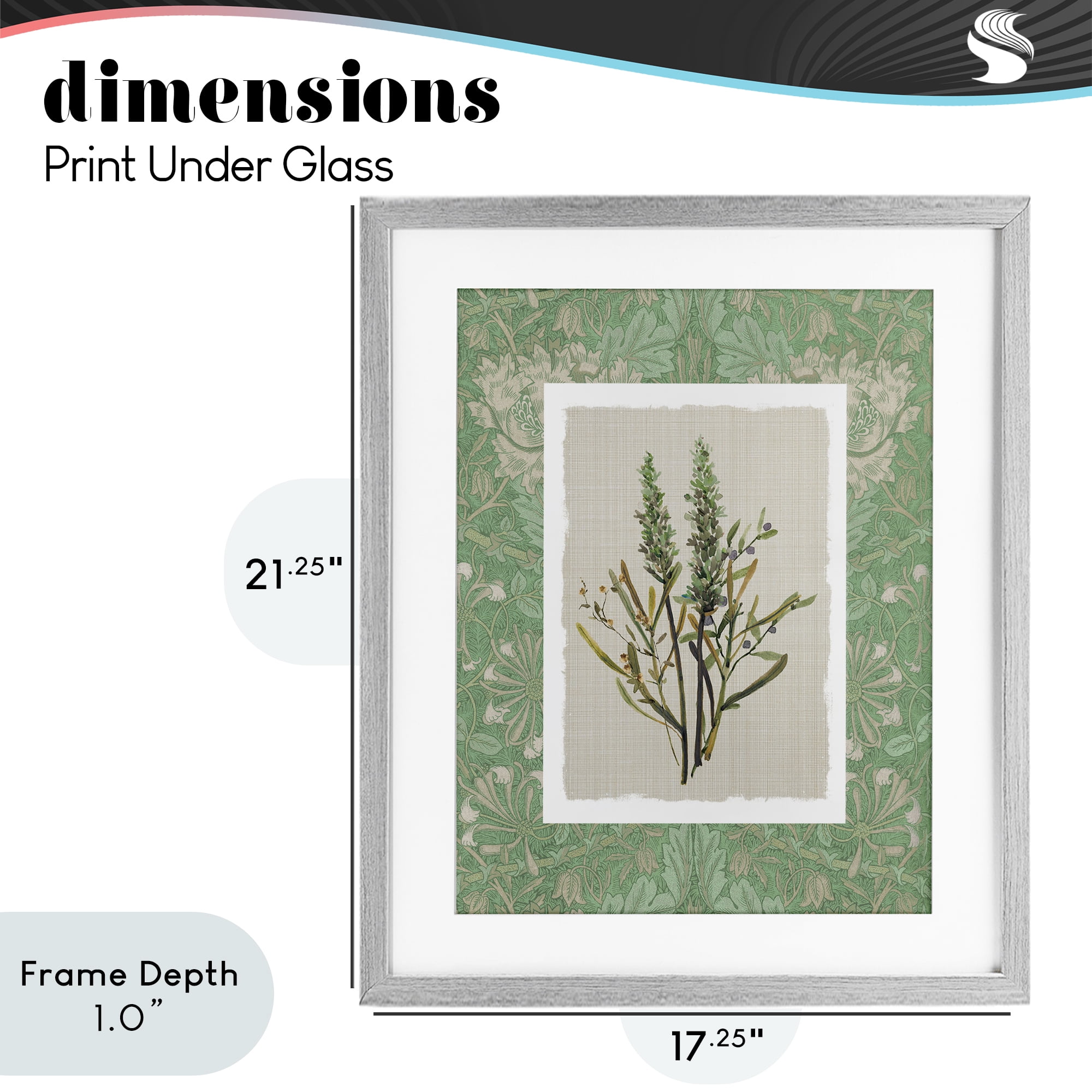Stupell Industries Antique Foliage in Green Gray Framed Print Under Glass, design by Carol Robinson