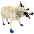 thumbnail image 2 of HAHDAXIA PZ1048 Water-Proof Dog Boot, Medium, Up to 3-Inch, Blue, 2 of 5
