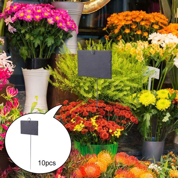 Etiquetas reutilizables para pntas, paquete etiquetas colgantes de pizarra para colgar en apariencia de barra de material acero inoxidable natural Rectángulo CUTICAT Etiquetas de plantas