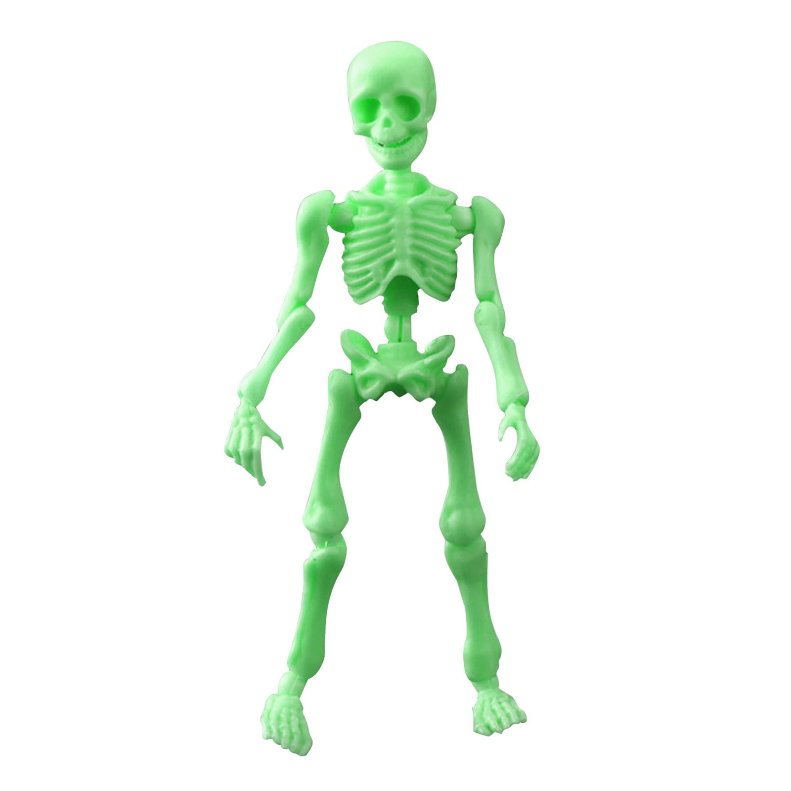 Fonwoon Human Skeleton Model Mini Movable Skeleton Figure Toy Skull