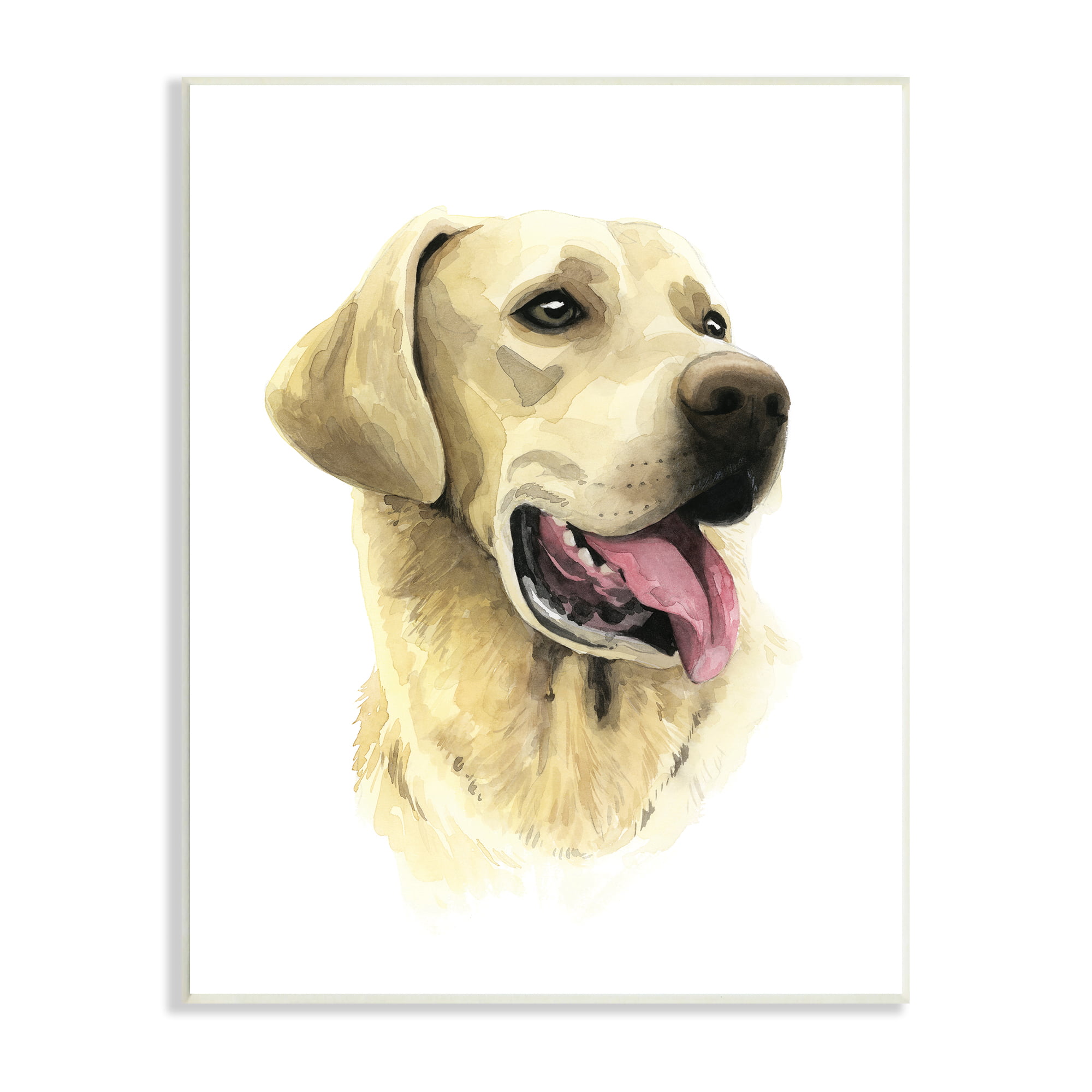 16x20 Wall Decoration Hunting Black Labrador Dog Animal Art Print Poster 