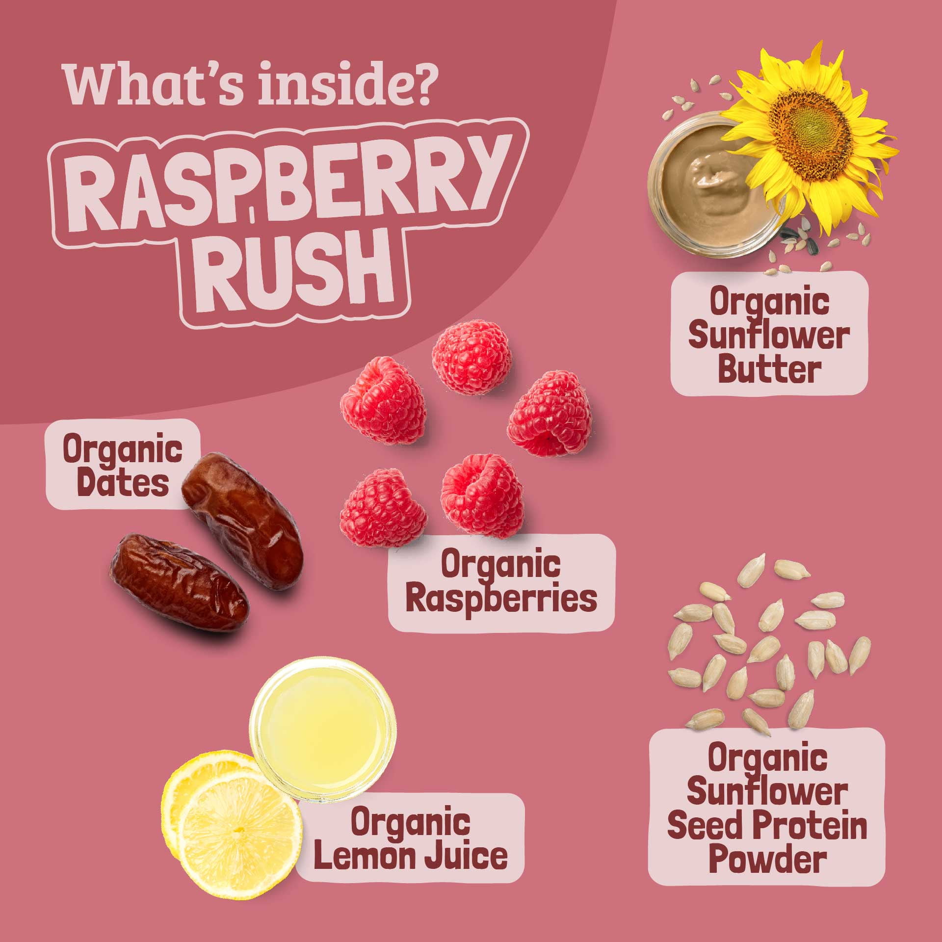 Skout Organic Raspberry Rush Kids Snack Bars (18 Pack) | Organic Kids Snack Bars | Plant-Based Nutrition | No Refined Sugar | Vegan | Gluten, Dairy, Peanut, Tree Nut & Seed Oil Free