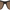 Leopard Brown, variant on Solar Shield Dioptics Unisex Square Fashion Sunglasses, Leopard Brown