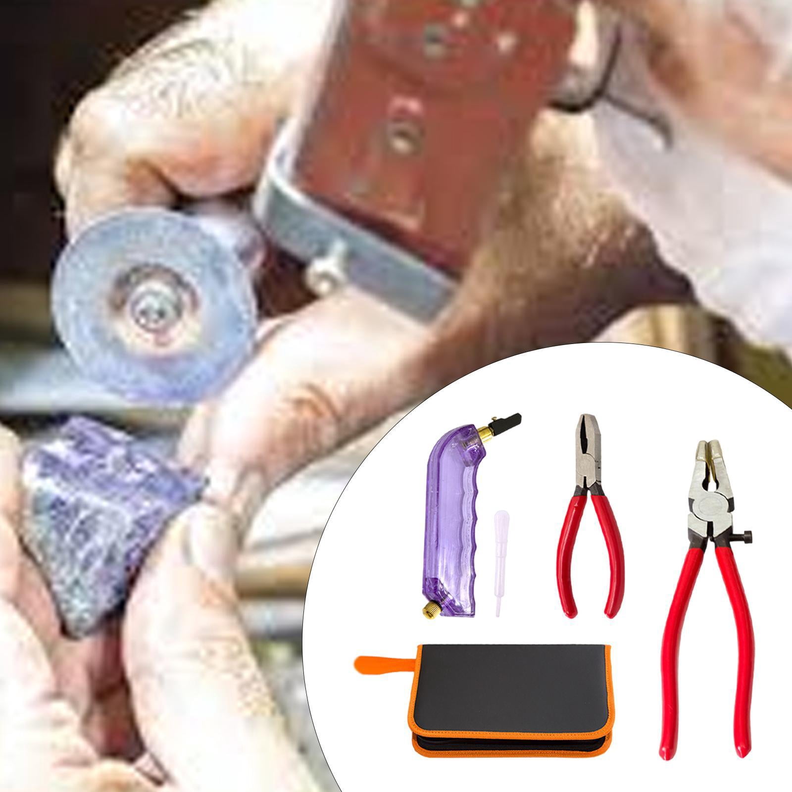 Tachiuwa Glass Cutter Tool Glass Breaking Pliers Nippers with Storage Bag Professional Glass Pliers Mosaic Tile Pliers for Fused Glass