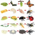 thumbnail image 2 of Figuras de ciclo de vida de mariposa, araña, abeja, libélula, figuras de insectos de plástico, proyecto escolar para Niños, 2 of 5