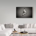 thumbnail image 3 of Trademark Fine Art 'Butterfly Contrast' Canvas Art by Chris Moyer, 3 of 3