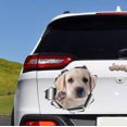 thumbnail image 1 of GHSDFBB Labrador Car Decal. Car Bumper Sticker Vinyl Sticker for Cars, Windows, Walls, Fridge, Toilet and More-11 Inch, 1 of 2