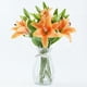 thumbnail image 1 of 16 Pcs Artificial Tiger Lily Real Touch Fake Easter Lily Flowers for Wedding Home Party Easter Decoration Plastic Lily Faux Flowers Orange, 1 of 4