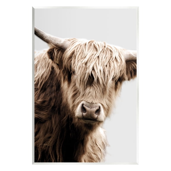 Stupell Industries Wooly Cattle Portrait Animals & Insects Photography Unframed Art Print Wall Art, 10 x 15