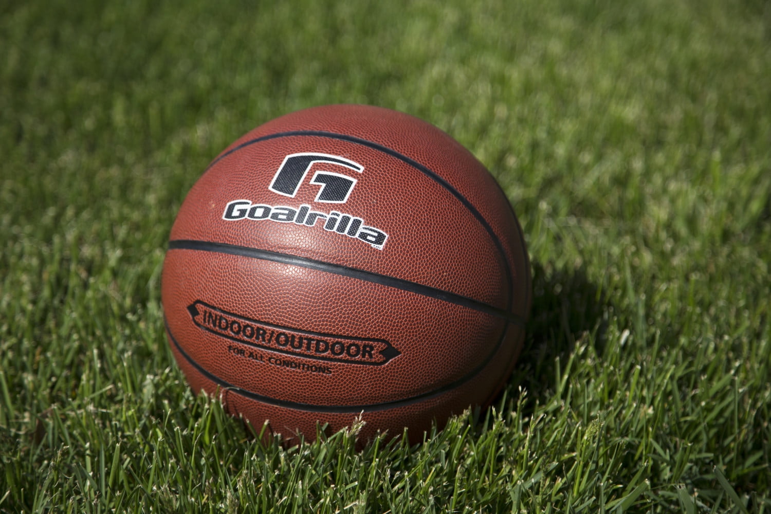 Goalrilla Indoor/Outdoor Men's Regulation Size Basketball with Composite Cover and Incredible Durability