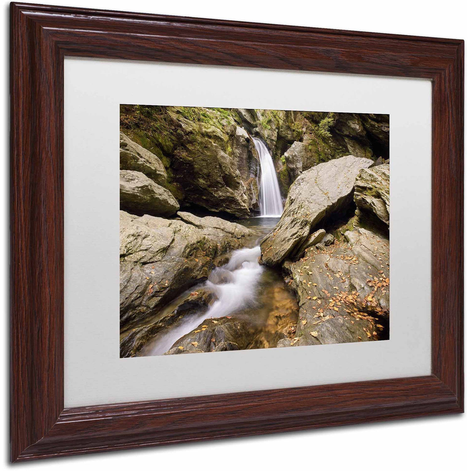 Trademark Fine Art 'Over and Under' Canvas Art by Michael Blanchette Photography, White Matte, Wood Frame