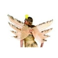 thumbnail image 1 of Eagle Wings With Feather Trim, 1 of 1