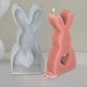 thumbnail image 4 of 2 uds moldes para velas de conejito molde portátil de conejo molde para jabón de cera moldes para velas de animales, 4 of 5