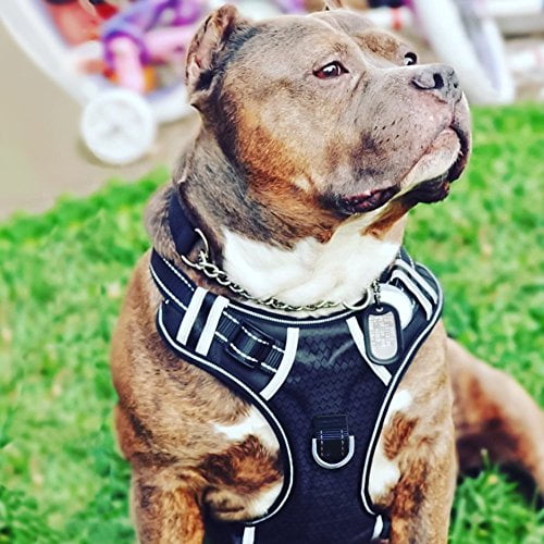 Big Dog Harness No Pull Adjustable Pet Reflective Oxford Soft Vest for Large Dogs Easy Control Harness 