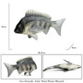 thumbnail image 4 of Ksopiavobs Realistic Animal Figures Tilapia Mossambica Sea Animal Toy, Science Project, Cake Topper, Early Educational Toys Birthday for Toddlers Kids Age 3 4 5, 4 of 5