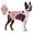 Pink, variant on HonestMatter Female Dog Diapers - Physiological Pants with Adjustable Suspenders for Comfort and Protection, Breathable Cotton Underwear for Incontinent Dogs, Reusable Design