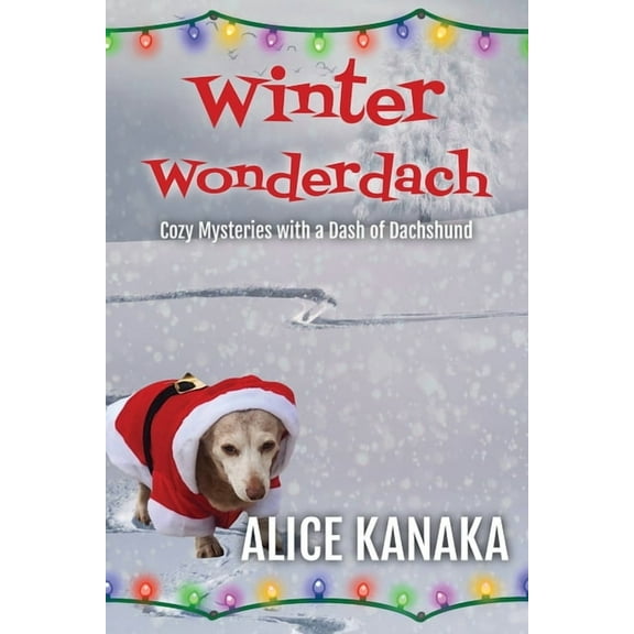Winter Wonderdach, (Paperback)