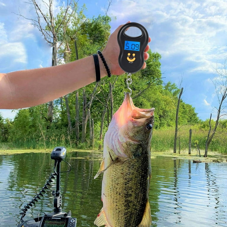 Portable Fishing Scale, EEEkit 110lb Digital Hanging Hook Scale with  Backlit LCD Display for Luggage