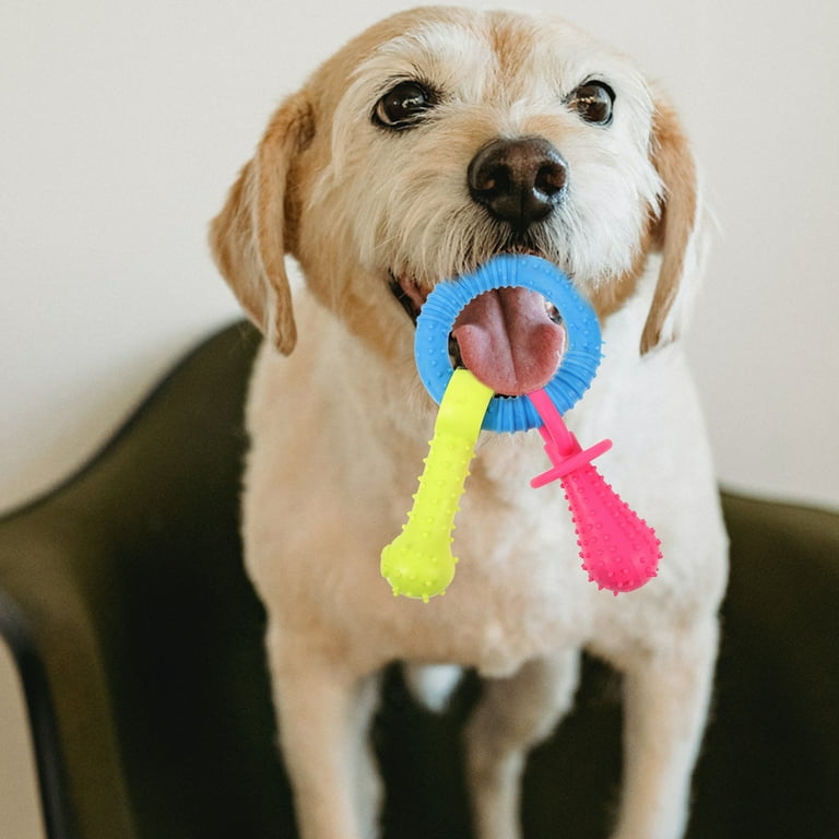 dog pacifier