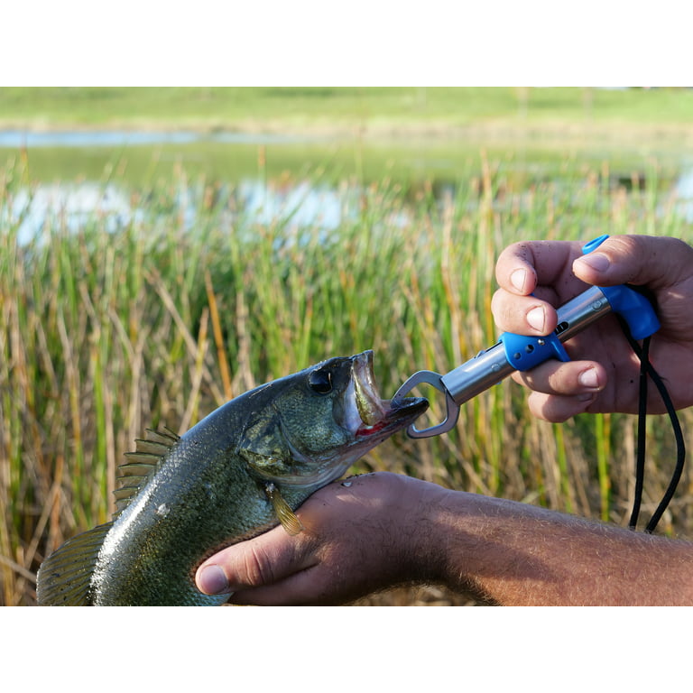 8 Best Fish Lip Gripper for 2024 // The Ultimate Tool for Anglers! 
