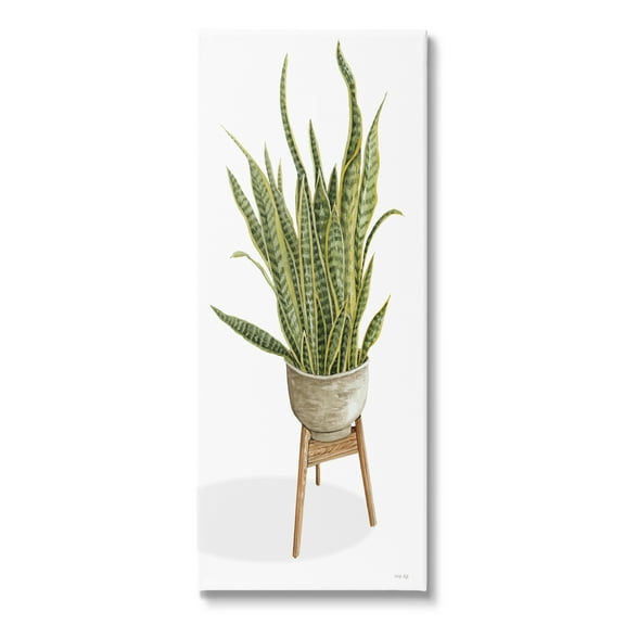 Stupell Industries Casual Aloe Plant Towering Green Leaves Planter Painting Gallery Wrapped Canvas Print Wall Art, Design by Cindy Jacobs