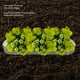 thumbnail image 3 of Jardín Elevado Con Fondo Abierto, Caja De Plantación Elevada De Acero Para Kit De Jardinería De Vegetales, Frutas Y Flores Con Fondo Abierto Y Esquinas Redondeadas., 3 of 7