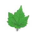 thumbnail image 4 of BELOVING Parrot Perch Stand Leaf Bird Claw Grinding Rod for Finches Parakeets Conures Green, 4 of 9