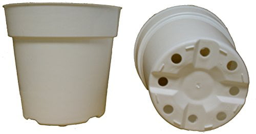 50 NEW 6 Inch Dillen Standard Plastic Nursery Pots ~ Pots ARE 6 Inch Round At the Top and 5.6 Inch Deep Color Terracotta 