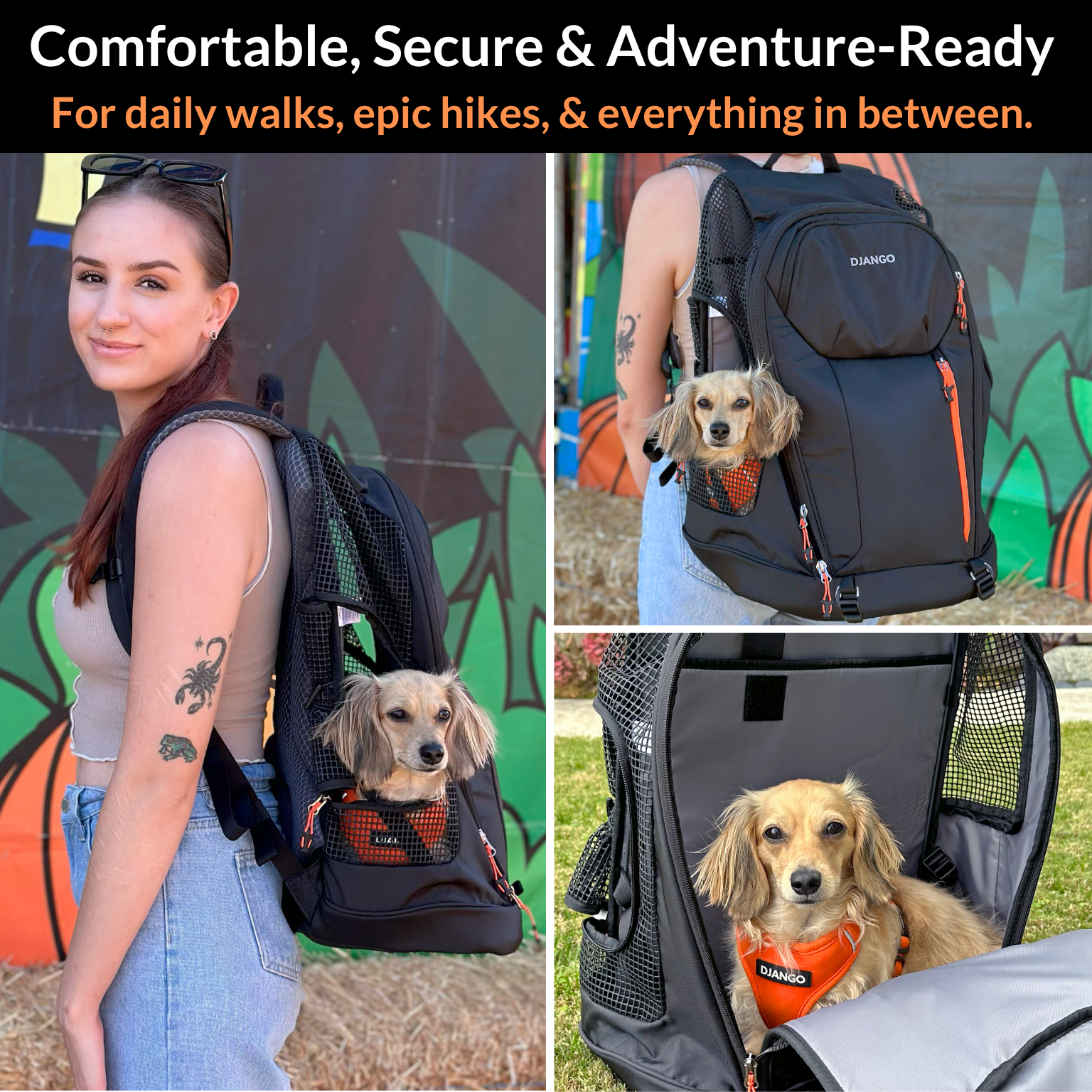 DJANGO Dog Carrier Backpack – Travel Pet Backpack for Small Dogs & Cats with Hip Belt, Storage Pockets, Laptop Sleeve & Water Bottle Holder – Secure, Comfortable Pet Carrier for Hiking & Commuting