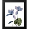 thumbnail image 2 of Stalus, Judy 15x18 Black Modern Framed Museum Art Print Titled - Xray Cyclamen, 2 of 5