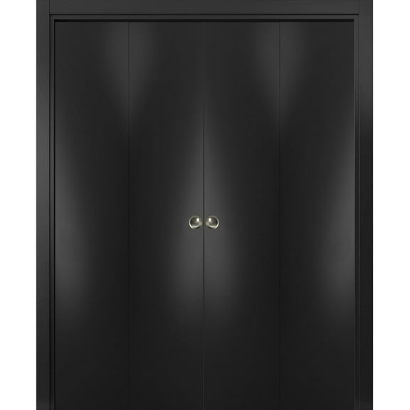 Sliding Closet Double Bi-fold Doors | Planum 0010 Matte Black